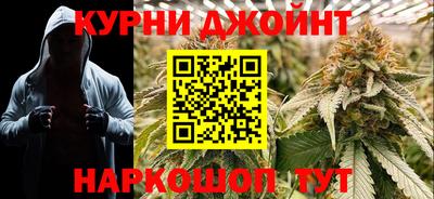 шишки Гудермес