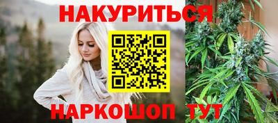шишки Гудермес