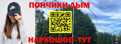шишки Гудермес